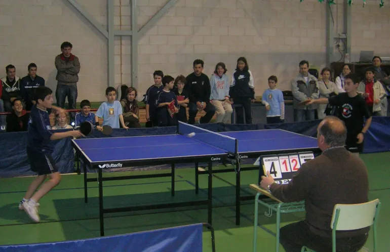  Campeonato Provincial de Tenis de mesa