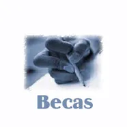 Becas  y  Subvenciones