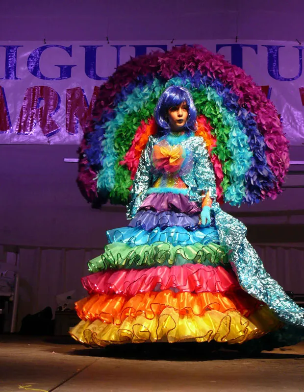 imagen ganadora Traje Individual Carnaval 2010