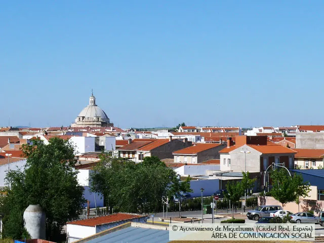 imagen vista genérica de Miguelturra