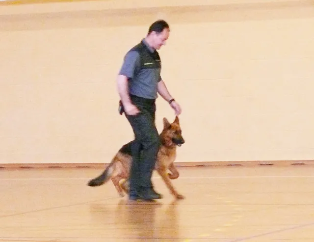 imagen de pastor alemán y guardia civil, 2012