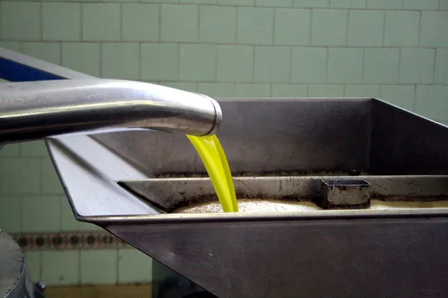 imagen de la producción de aceite en almazara