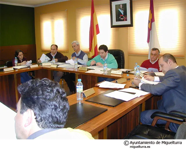 Junta de Marzo 2006, Mancomunidad Campo Calatrava