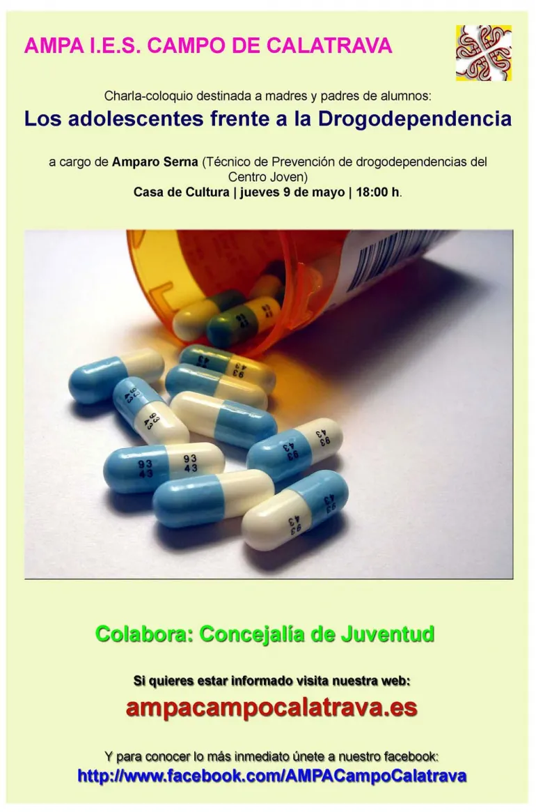 imagen cartel charla en el Instituto, mayo 2013