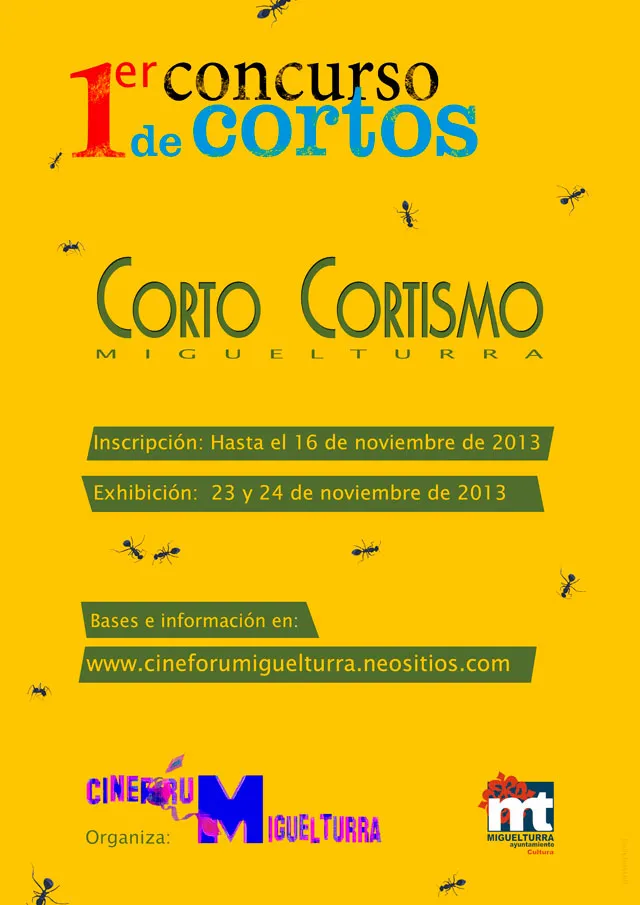 imagen cartel certamen cortometrajes 2013