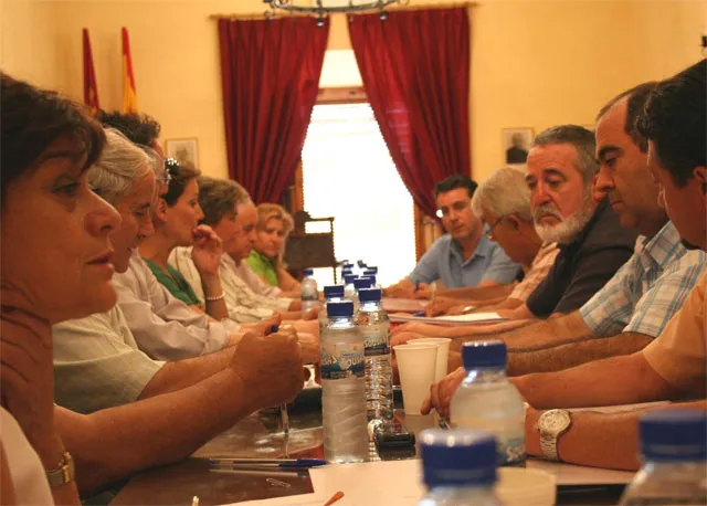 imagen Pleno de la Mancomunidad, septiembre 2008