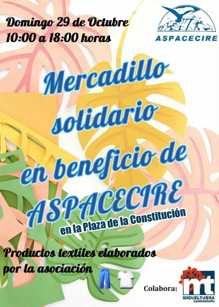 imagen del cartel del Mercadillo Solidario de Aspacecire, octubre 2017