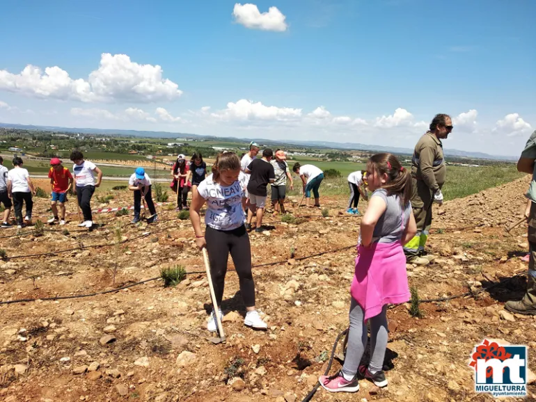 imagen de la actividad del Día del Árbol 2019 en la sierra de San Isidro de Miguelturra