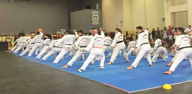 imagen exhibición de artes marciales en el CERE, junio 2017