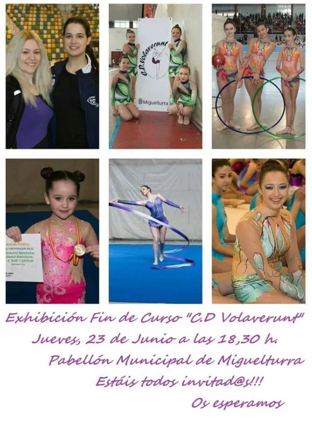 imagen del cartel de la exhibición del CDE Volaverunt, junio 2016