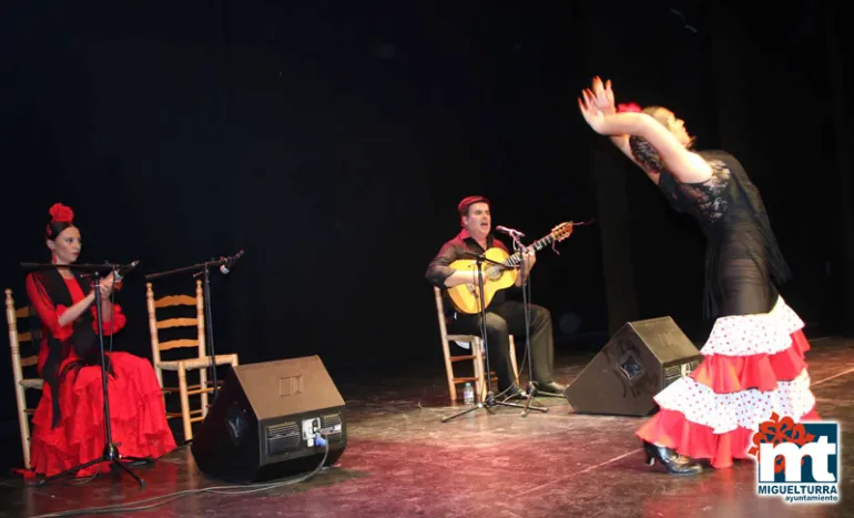 imagen del Festival de Arte Español y Flamenco Ferias 2017 Miguelturra