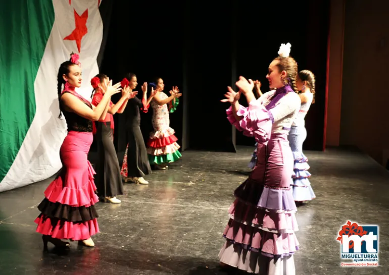 imagen de la Gala Benéfica a favor del pueblo saharaui, noviembre 2015