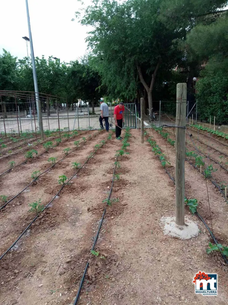 imagen del huerto del abuelo y la abuela de Miguelturra, junio 2018