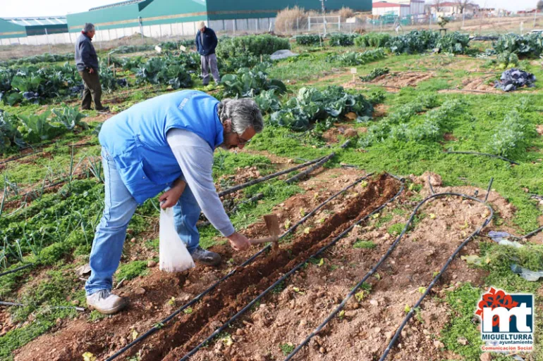 imagen del huerto agroecológico del Ayuntamiento de Miguelturra, Red Terrae
