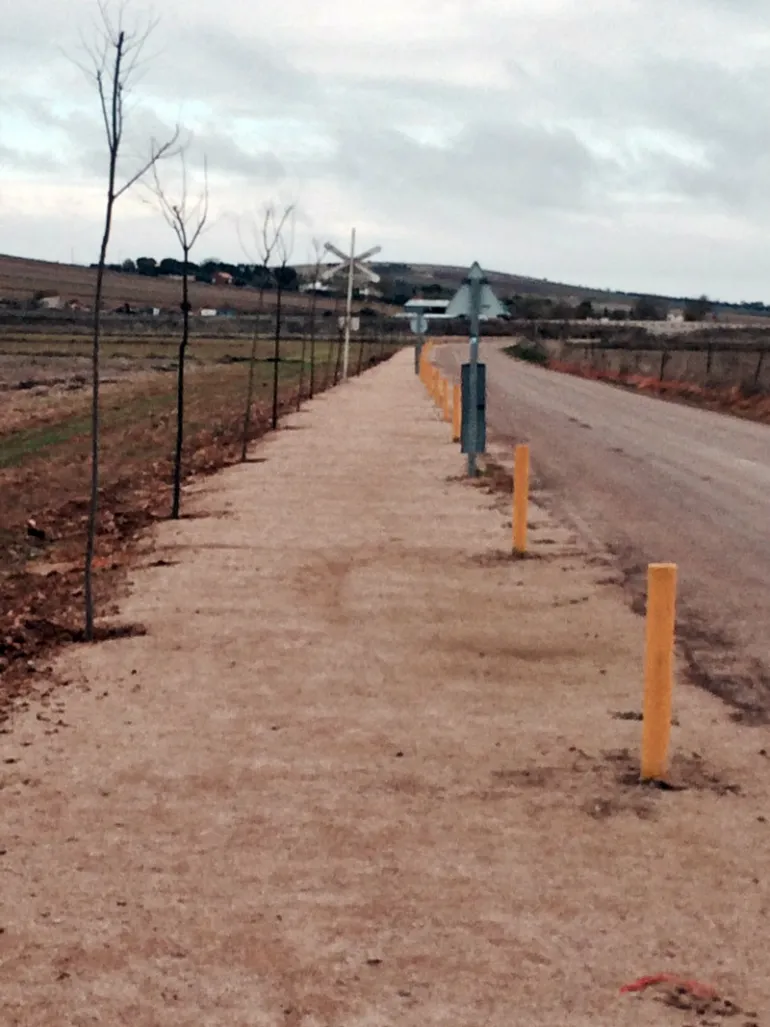imagen del camino de Carrión en Miguelturra, diciembre 2016