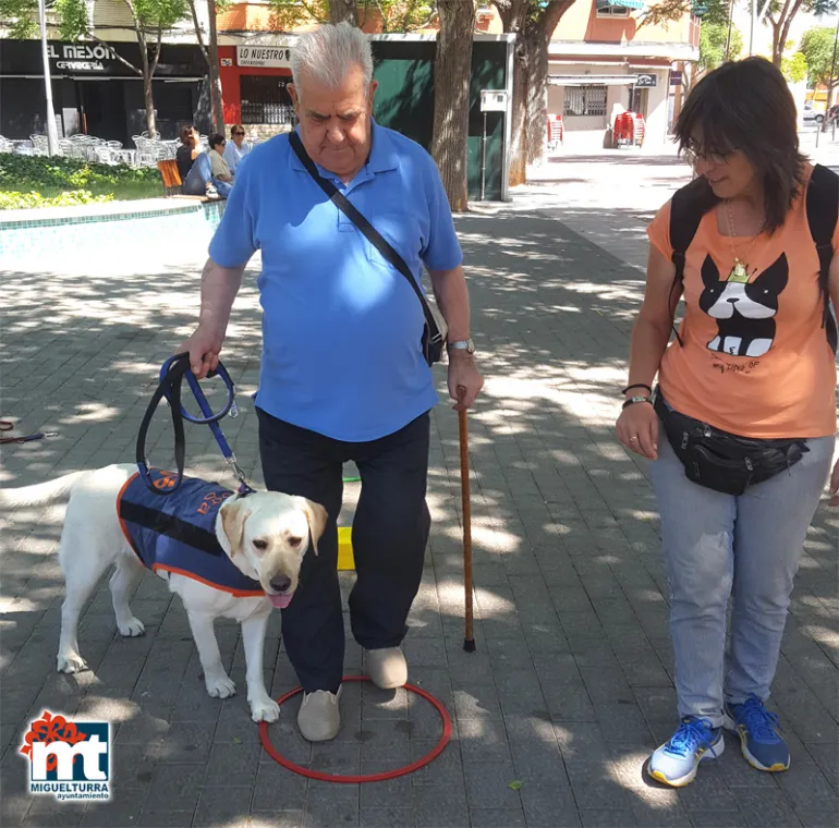 imagen de una de las sesiones con Yoga en el parque Doctor Fleming, junio 2019