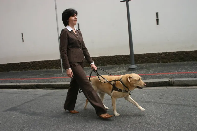 imagen de mujer invidente y su perro lazarillo, guía imprescindible en su autonomía personal