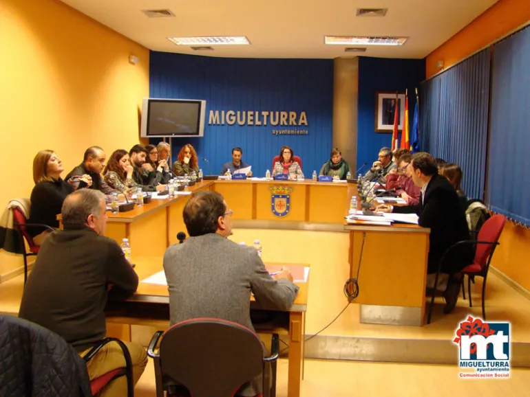 imagen del Pleno Ordinario del 12 de enero de 2017