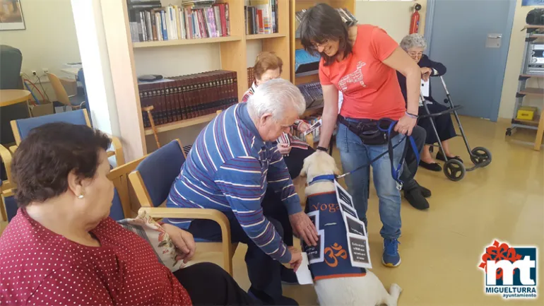 imagen de la labradora "Yoga" durante una de sus sesiones en el SED, mayo 2019