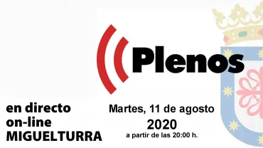 evento imagen Pleno en directo a través de YouTube, 2020-08-11