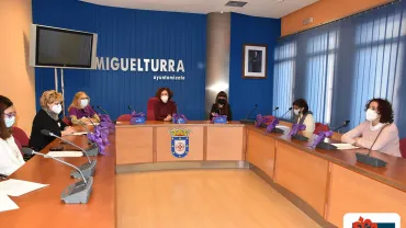 imagen del acto oficial en el Salón de Plenos del Ayuntamiento, 25 noviembre 2020