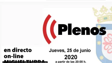 evento imagen captura pantalla del Pleno en directo a través de YouTube, 2020-06-25