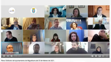 imagen captura pantalla del Pleno Ordinario del 25 de febrero de 2021