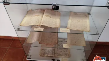 imagen de una de las vitrinas de la exposición en la Biblioteca Municipal, octubre 2020