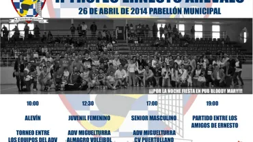 imagen del cartel del Trofeo Voleibol, abril 2014
