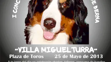 imagen concurso/exhibición boyeros berna 2013