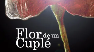 imagen de la obra de teatro la flor de un cuplé