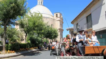 imagen de pasacalles de caballos del año 2012