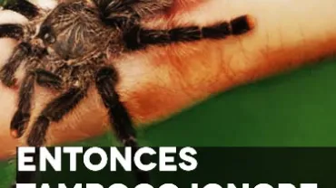 imagen publicitaria campaña Euromelanoma 2014