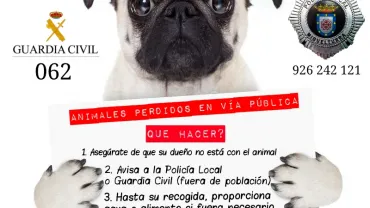 imagen de la campaña de cómo actuar ante mascotas perdidas en Miguelturra, abril 2018