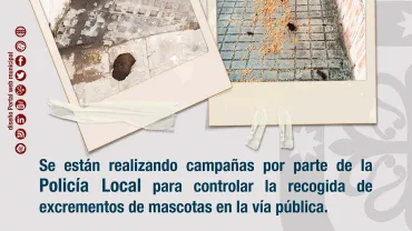 agenda imagen cartel campaña vigilancia excrementos en vías públicas, diseño portal web municipal