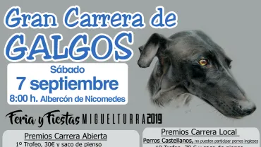 evento imagen cartel Gran Carrera Galgos especial Ferias 2019 Miguelturra, diseño Centro de Internet