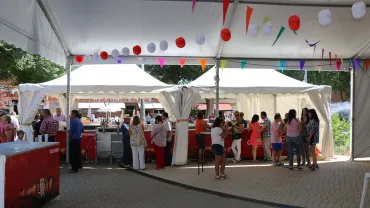 eventos, imagen de la Jarrilla de las pasadas fiestas 2015 de Miguelturra