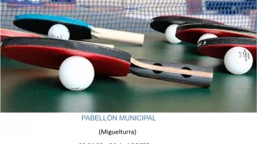 imagen cartel tecnificación tenis mesa agosto 2021