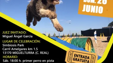 folleto Agility, 1, junio 2022