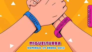 cartel hermanamiento carnavales Miguelturra y Tarazona de la Mancha, diseño portal web