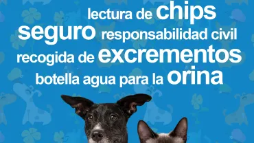 cartel campaña chip perros, noviembre 2023