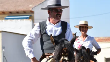 amigosdelcaballo2024