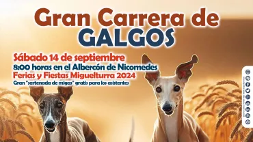 noticia_carrera_galgos_ferias_2024