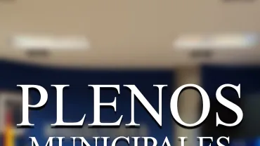 verticalplenosmayo2025b