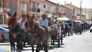 noticiapasacallescaballos2025