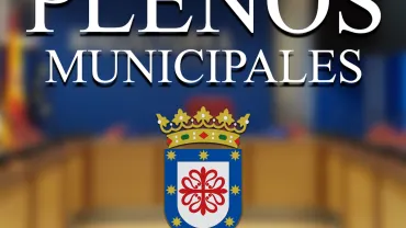 vertical_plenos_mayo_2025