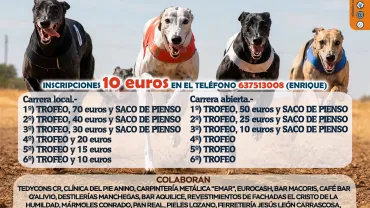 galgos-2026-08-28-noticia