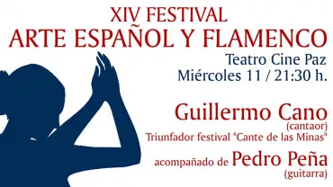 agenda imagen cartel festival flamenco, 2013