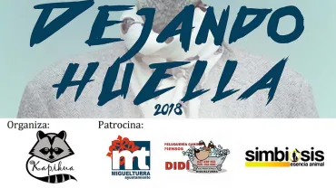 evento imagen del cartel del concurso Dejando Huella, Carnavales 2018