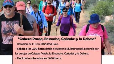 evento imagen del cartel del Paseando por Miguelturra especial Ferias 2017, diseño del cartel Centro de Internet